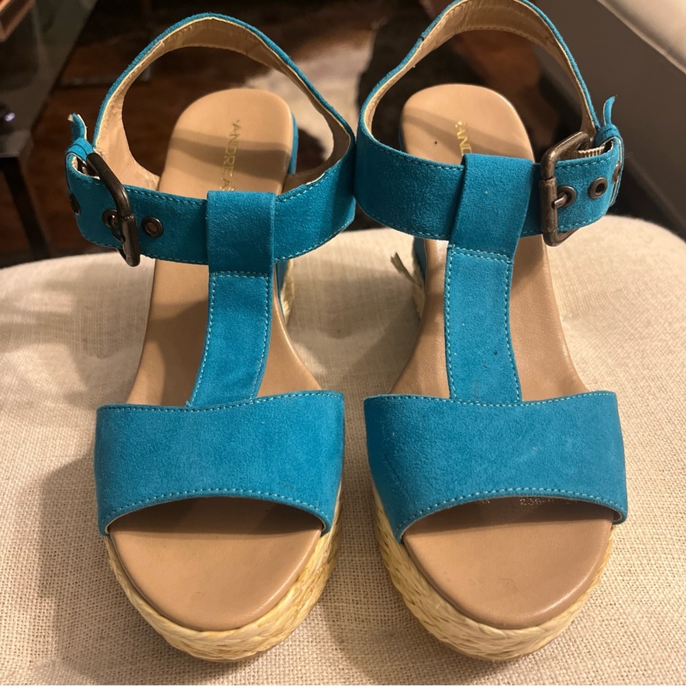 Andrea Teal T-Strap Espadrille Wedge Sandals size 7